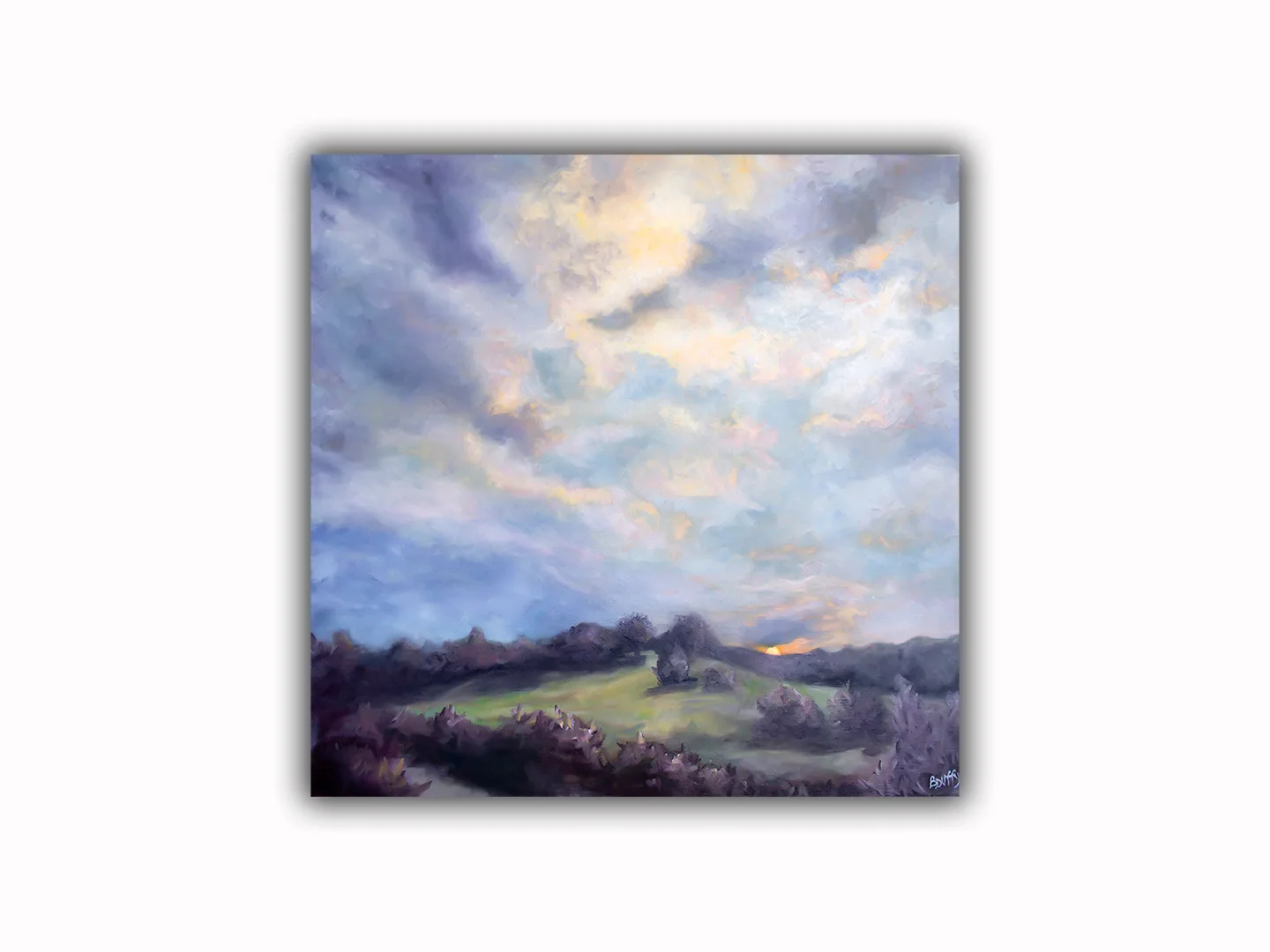 Coming Home Sunset 1