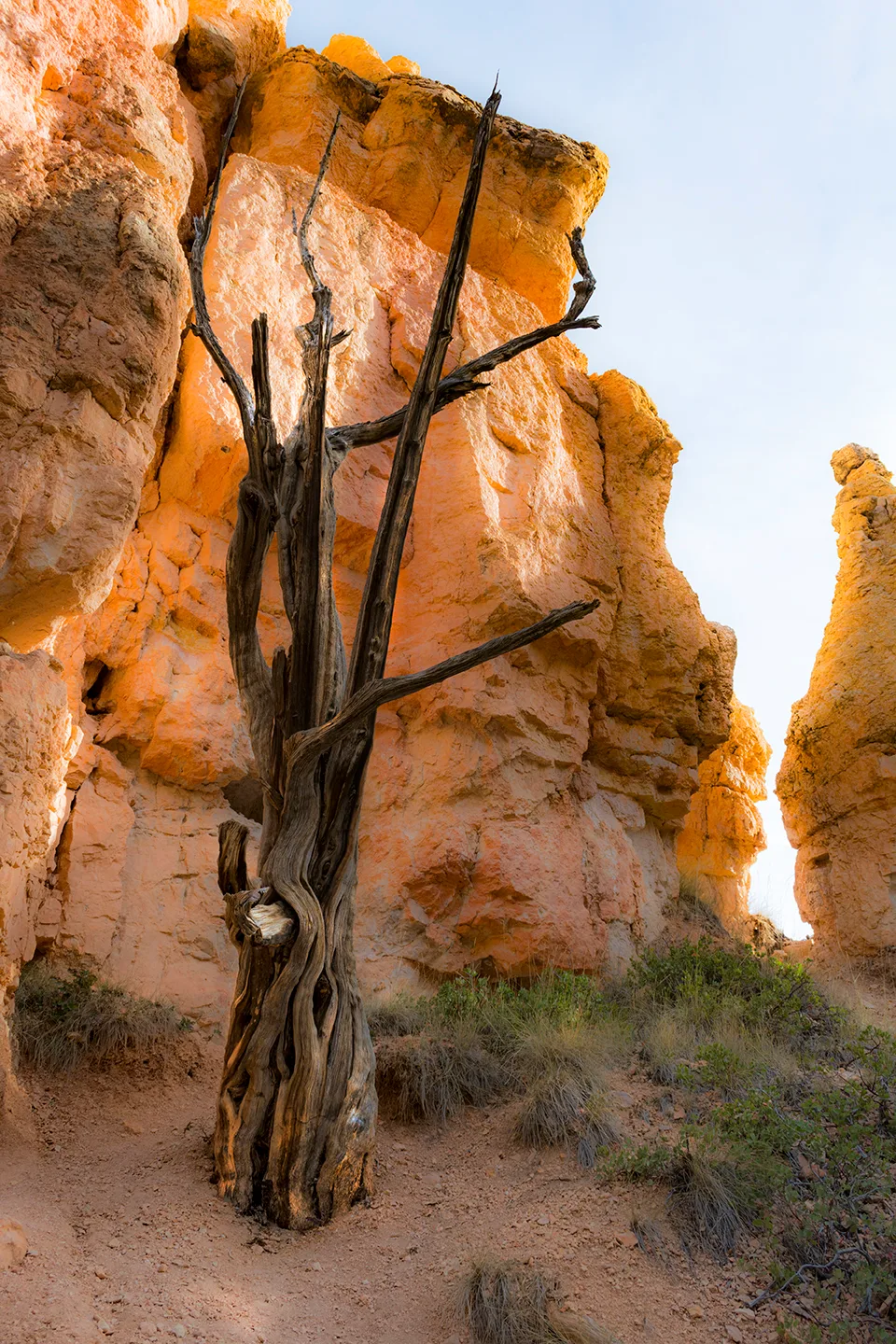 BryceNationalPark 20