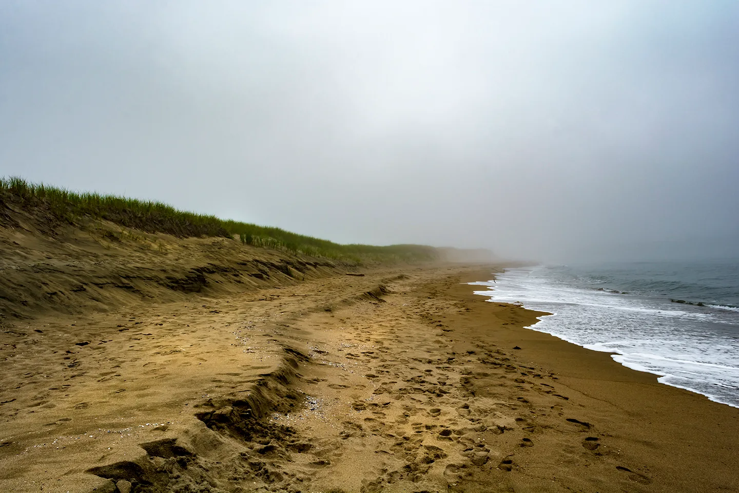 PortAuxBasqueReturn 10