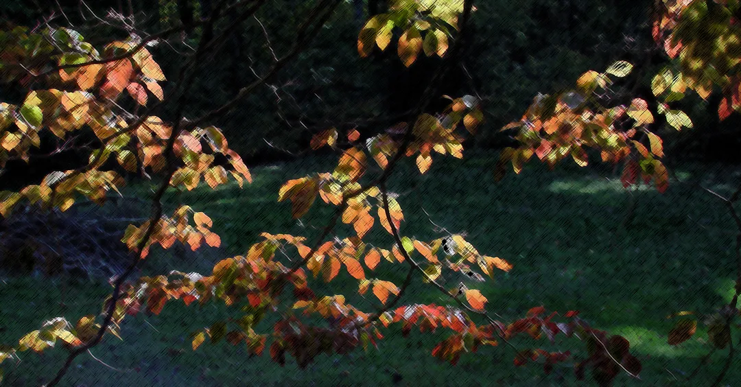 Leaves Colored Pencil