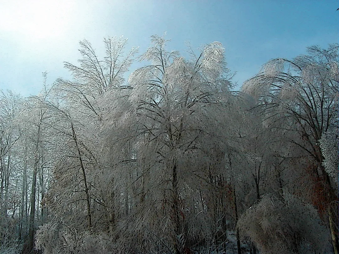 Ice Storm 1