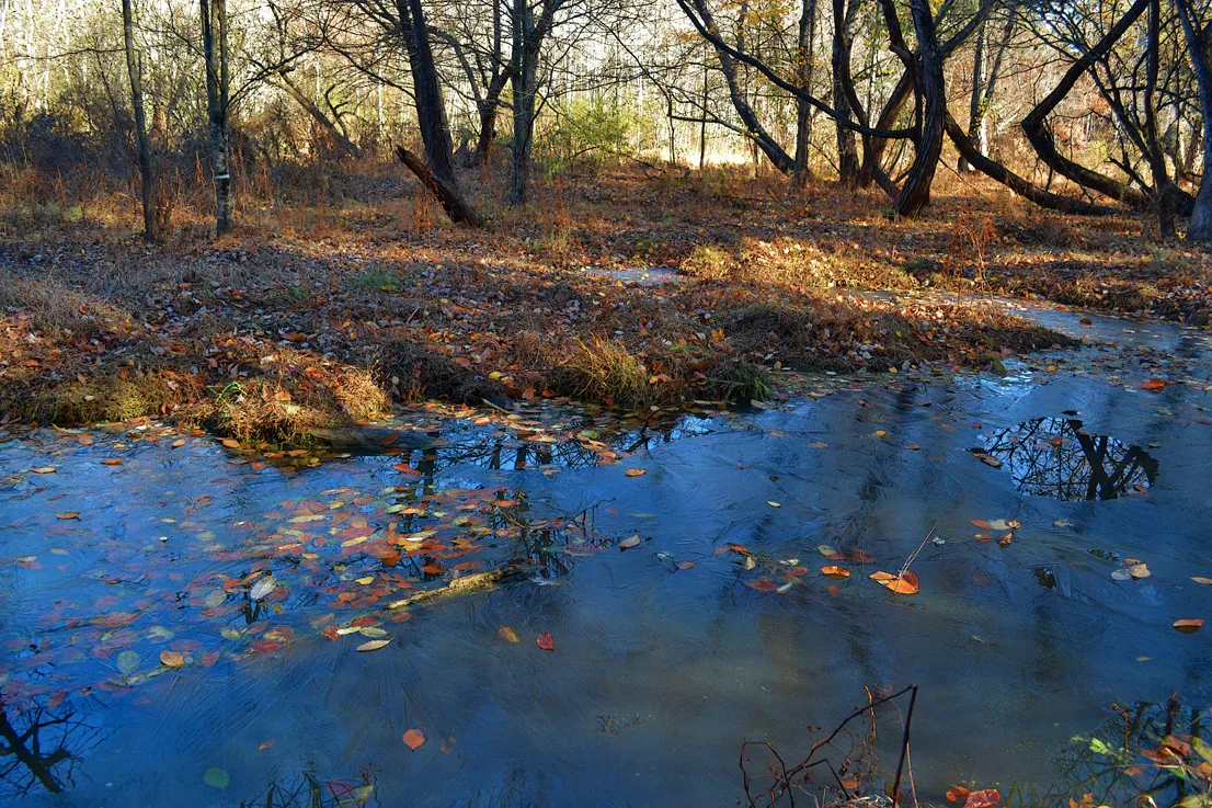 Lake Corriher 2014-8