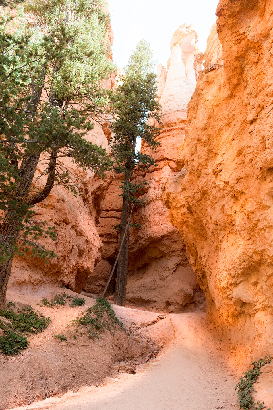 BryceNationalPark 22