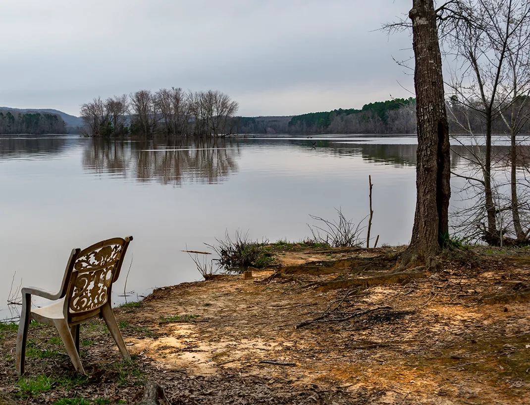 Wildlifeaccessmar 2019 3