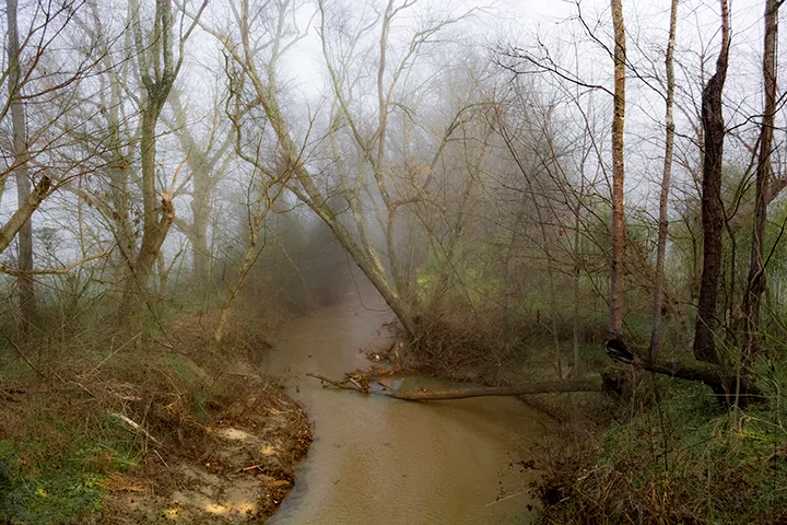 Fanniesloan 2015 Fog 15