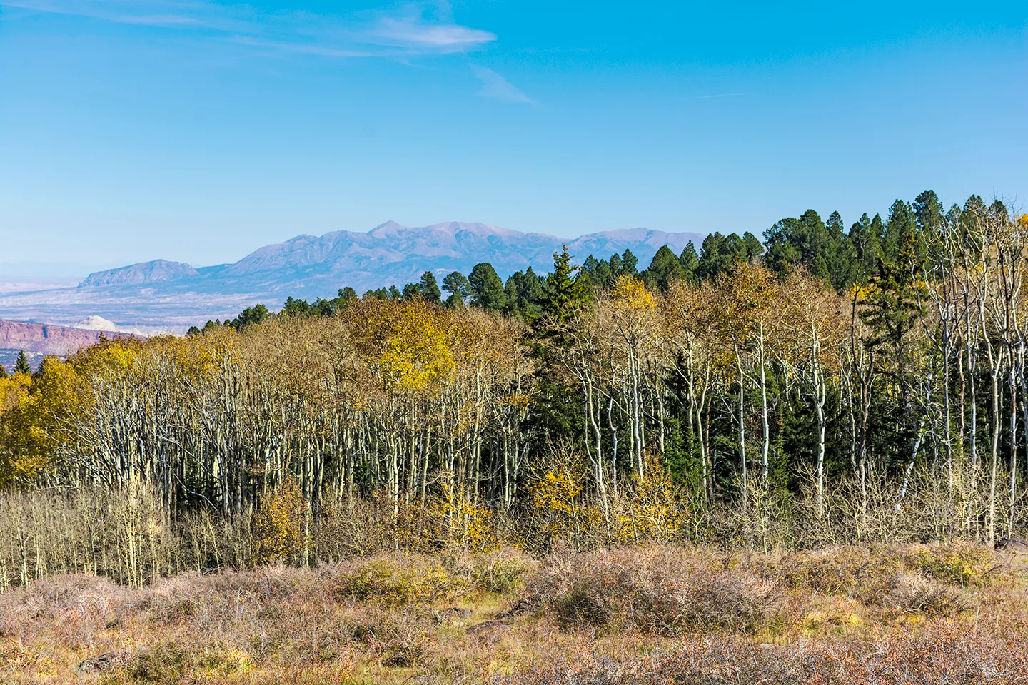 Dixienationalforest 3