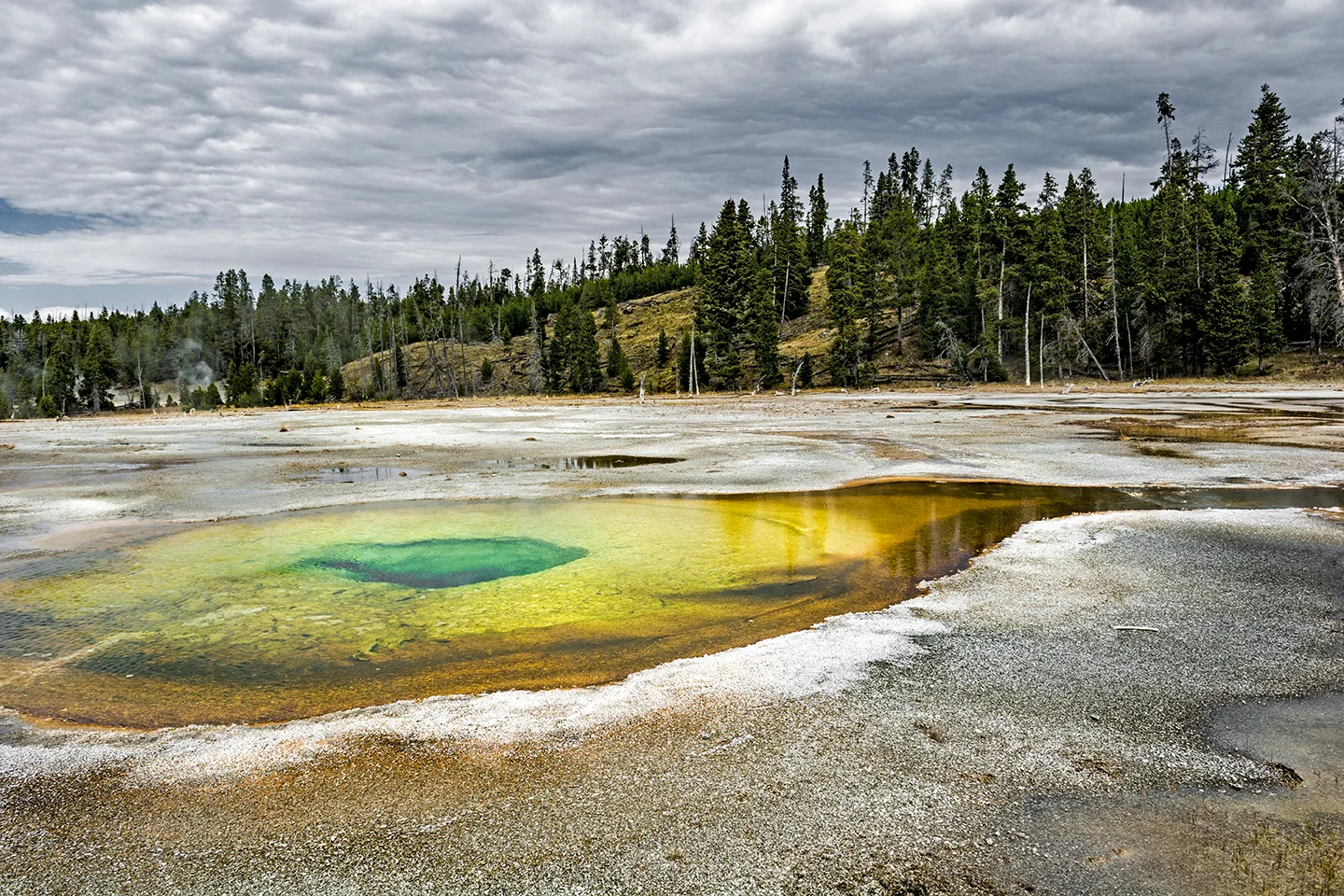 Yellowstone 12