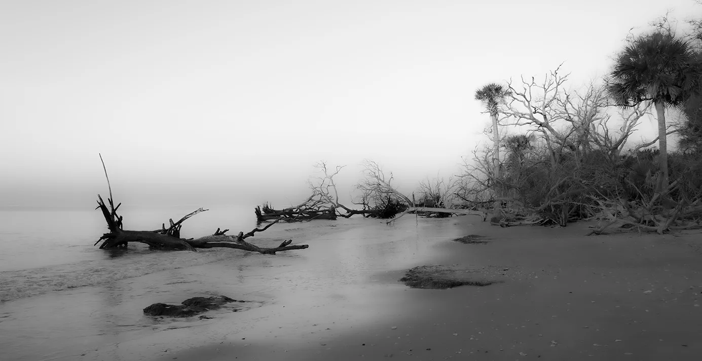 Edistosunrise 46 B&W