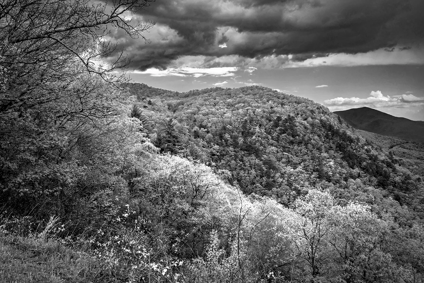 Blue Ridge 3-B&W