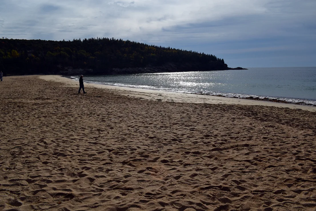 Acadia Shore Fall 1-10