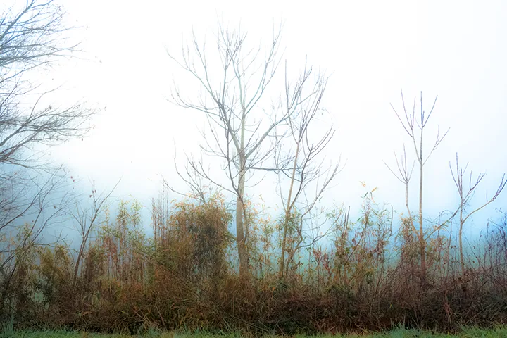 Fanniesloan 2015 Fog 10