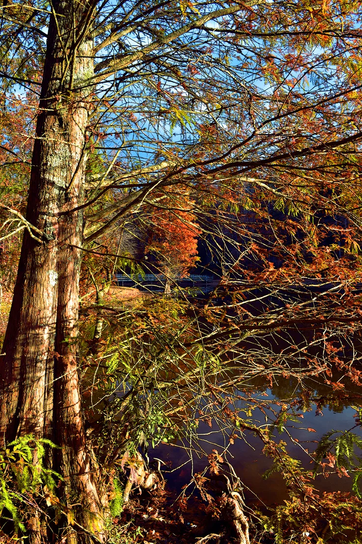 autumn Dan Nicholas 6