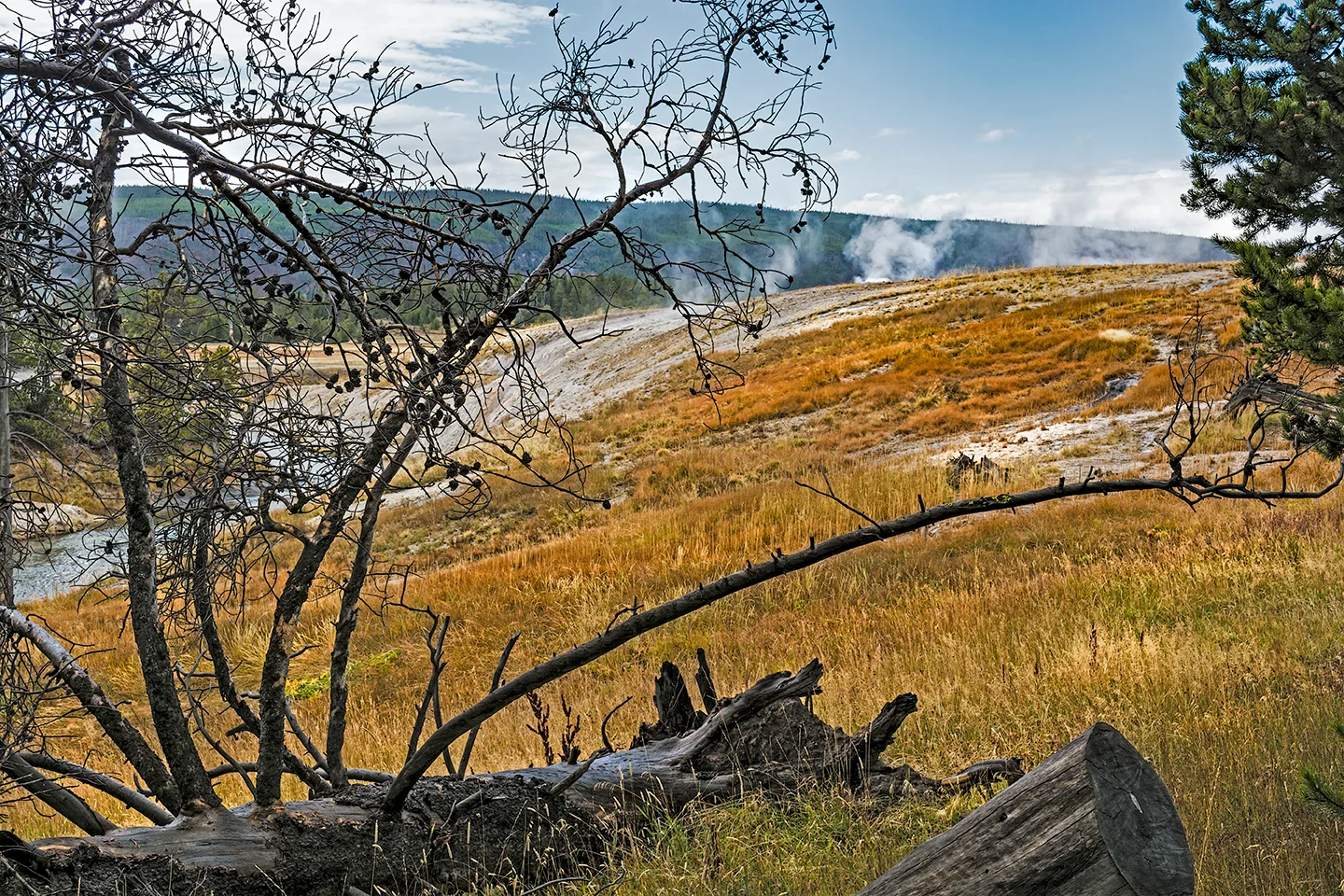Yellowstone 13