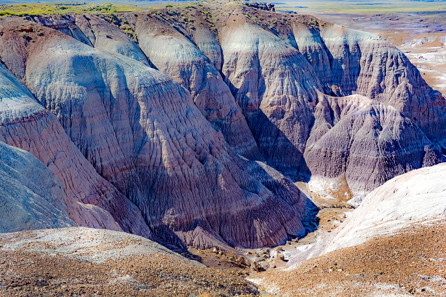 The Petrified Forest 2