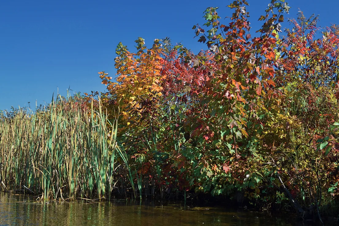 New Hampshire Mtns 4
