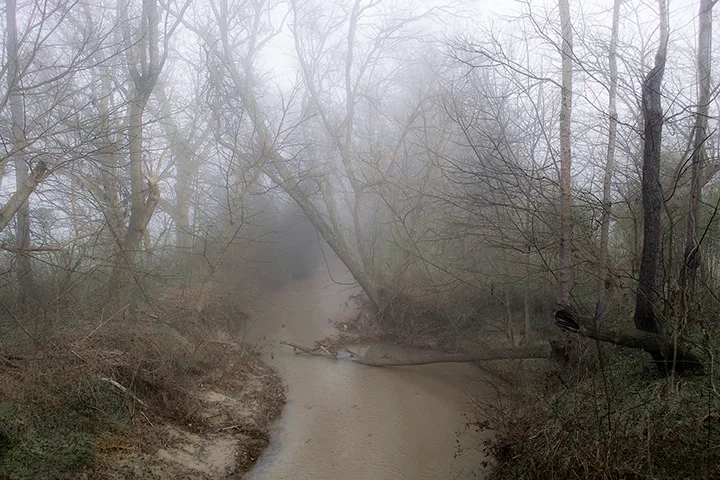 Fanniesloan 2015 Fog