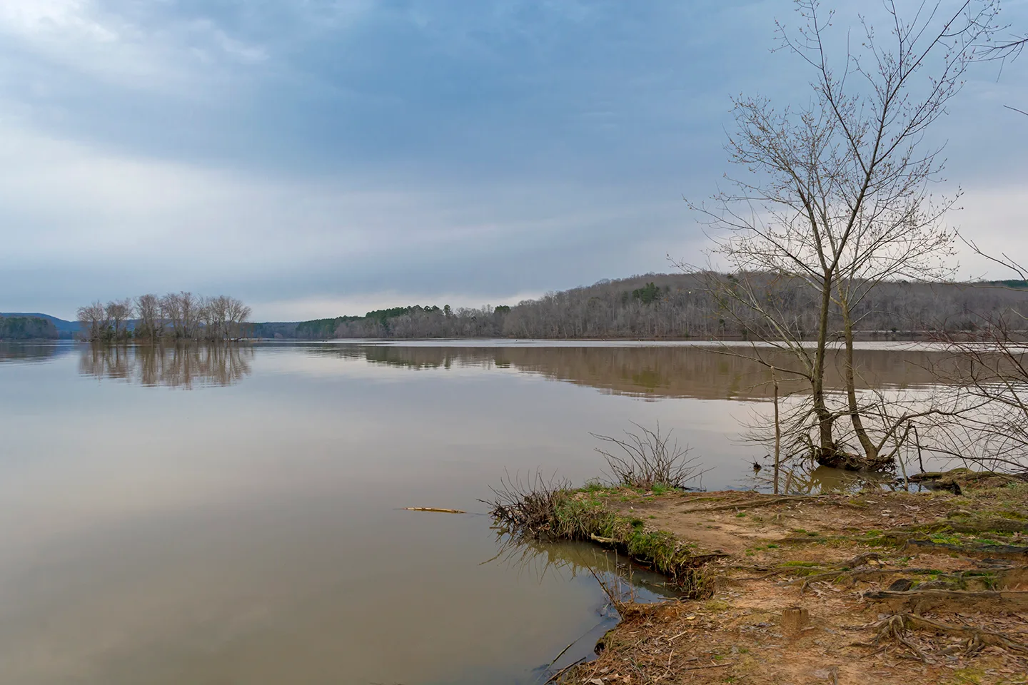 Wildlifeaccessmar 2019