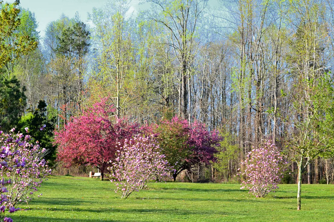 Sloan Park in the spring 7
