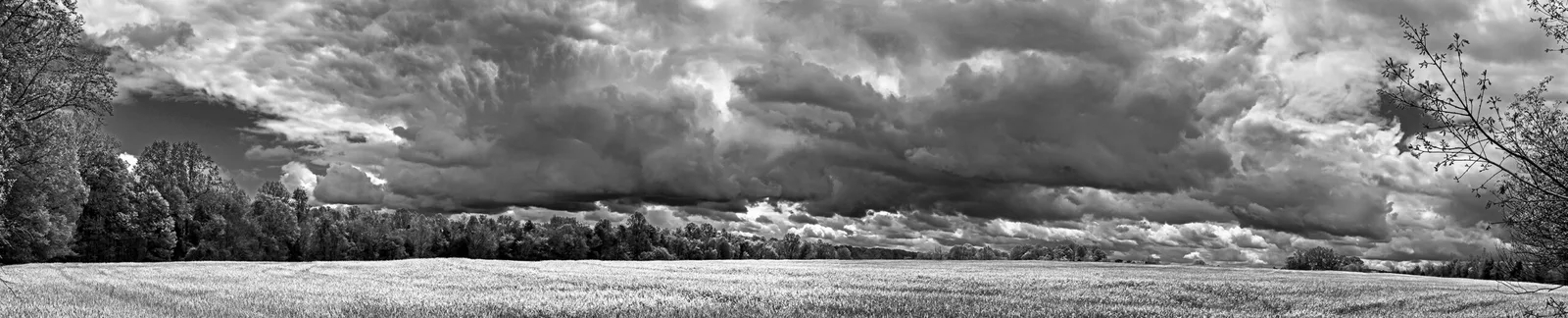Caublecreekfield 1 B&W