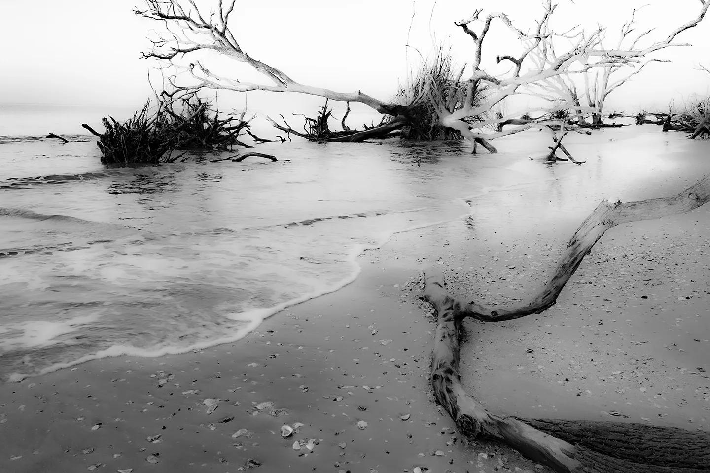 Edistosunrise 60 B&W