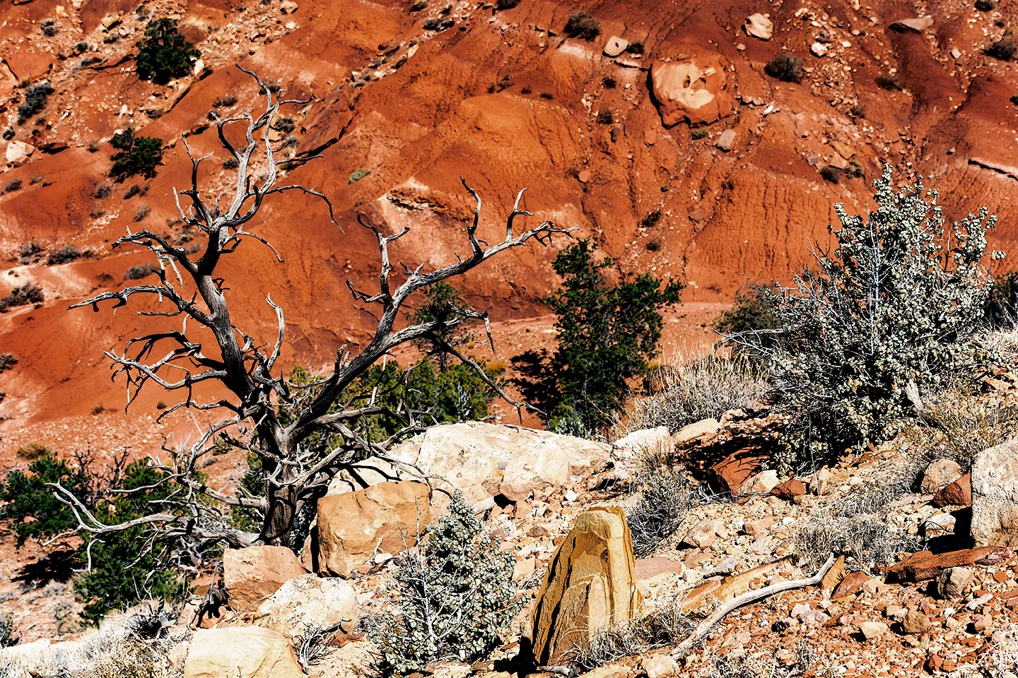 CanyonlandsNationalPark 18