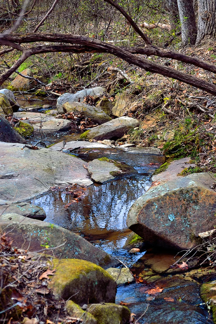 Rocks in uwharrie