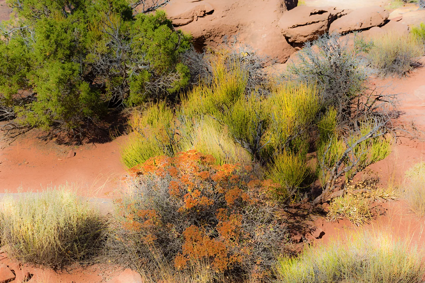 CanyonlandsNationalPark 30