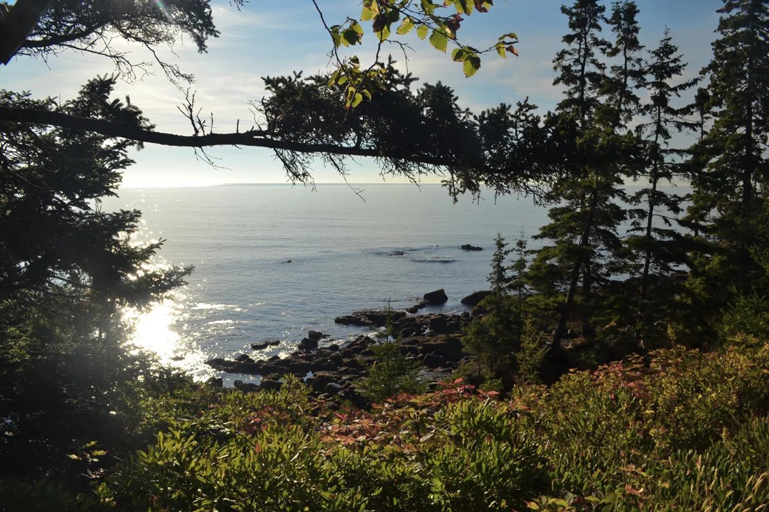 Acadia Shore 11