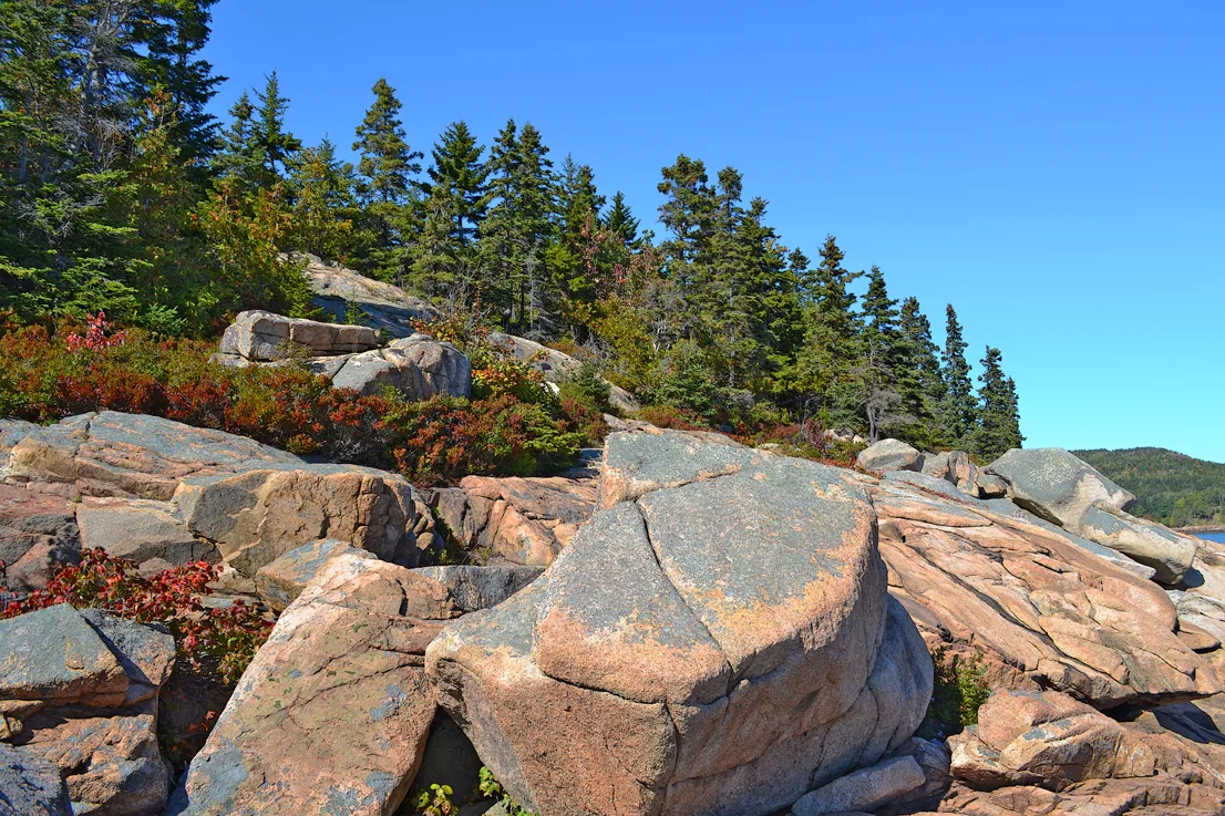 Acadia Shore Fall 1-1