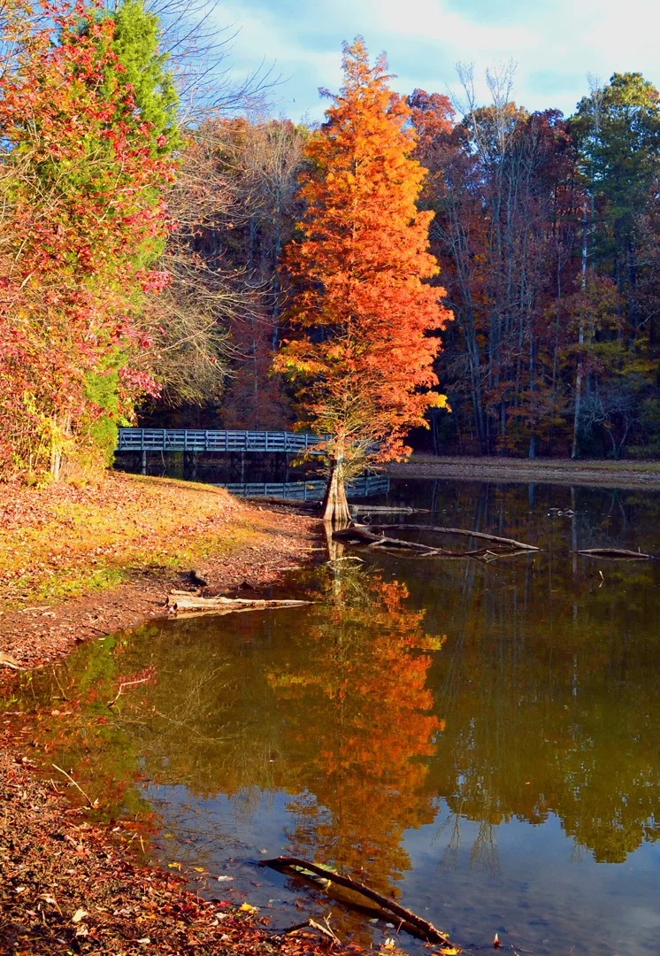 autumn Dan Nicholas 2