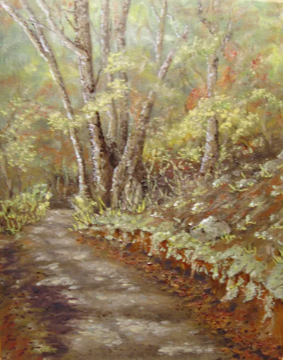 Joyces Downhill Road