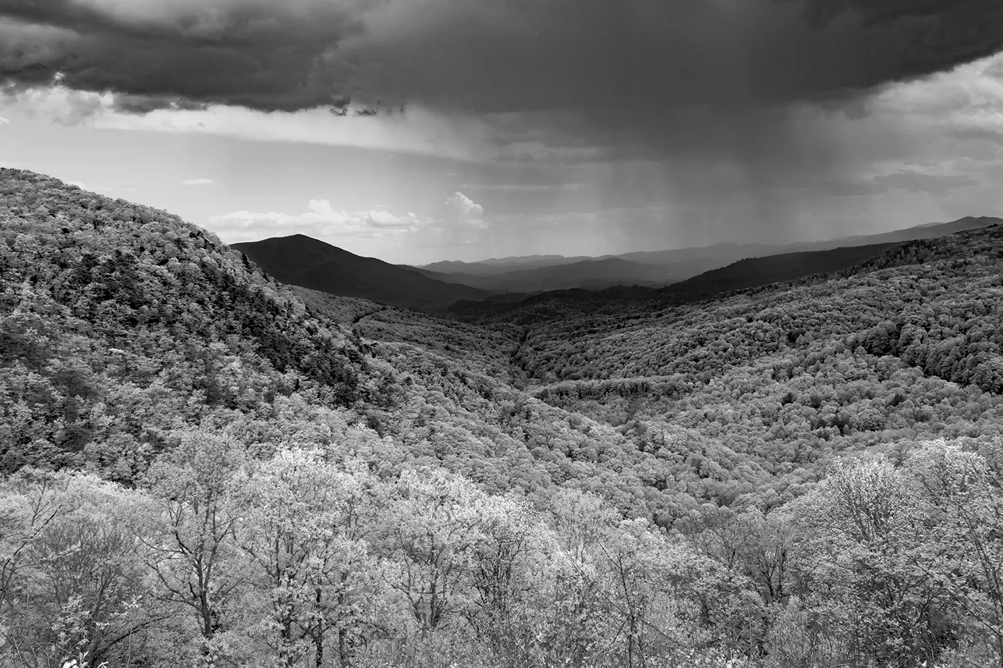 Blue Ridge 1-B&W