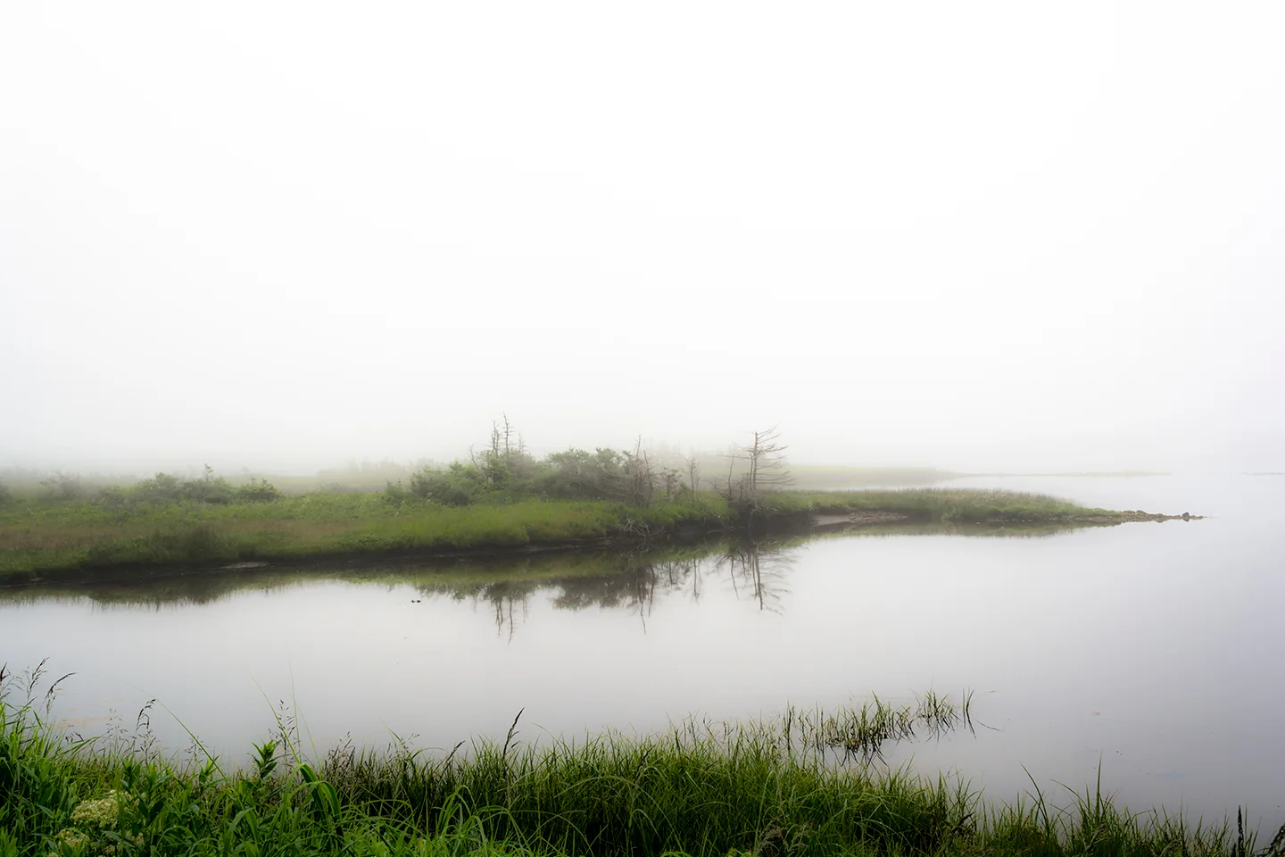 PortAuxBasqueReturn 1