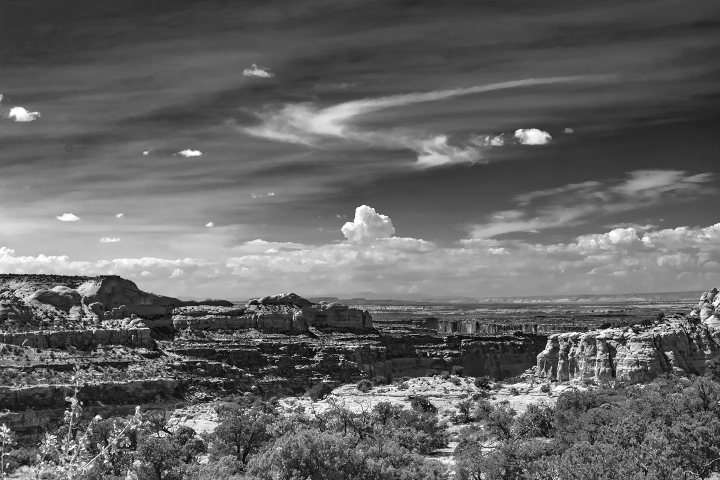 Canyonland 2019 B&W 3