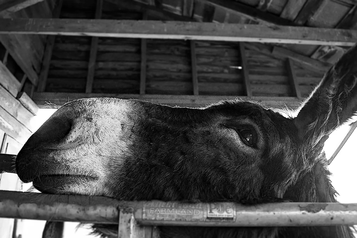 Sherrillsford 15 B&W