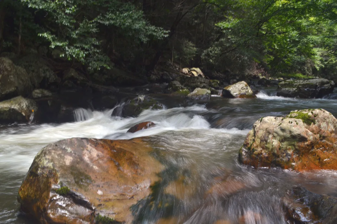 VA Creeper Trail water