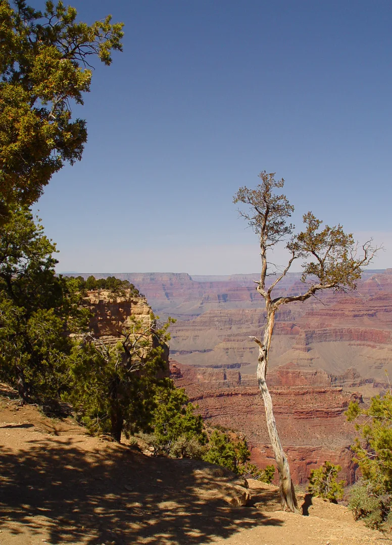 Grand Canyon 1