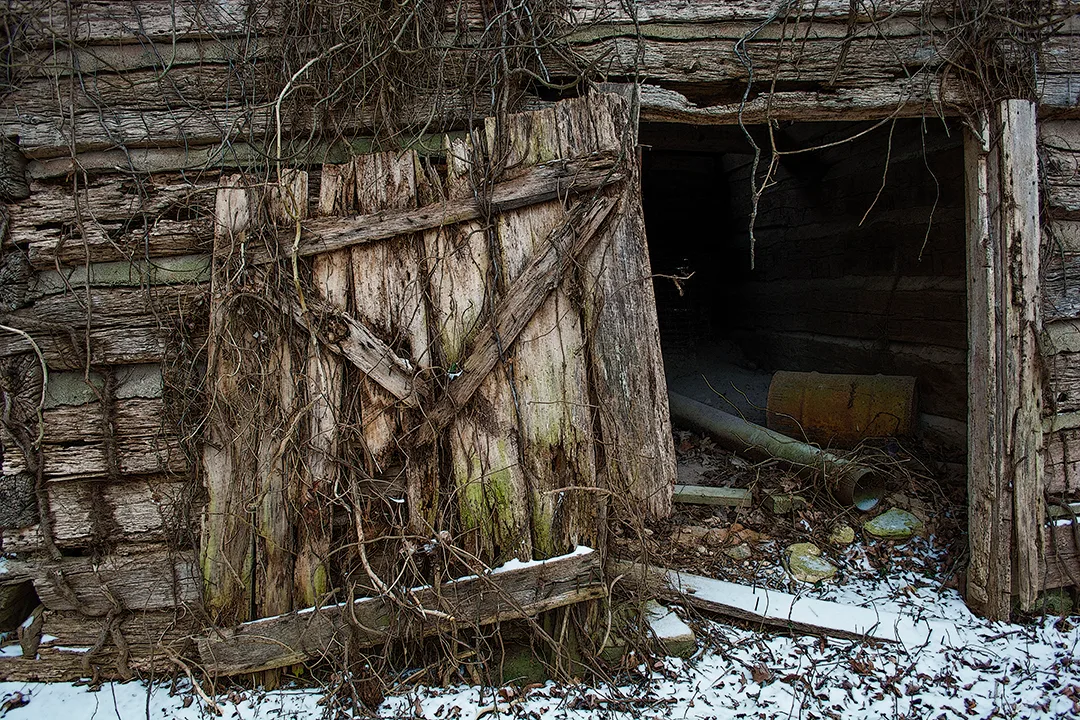 Snow 2015 Stanback Door