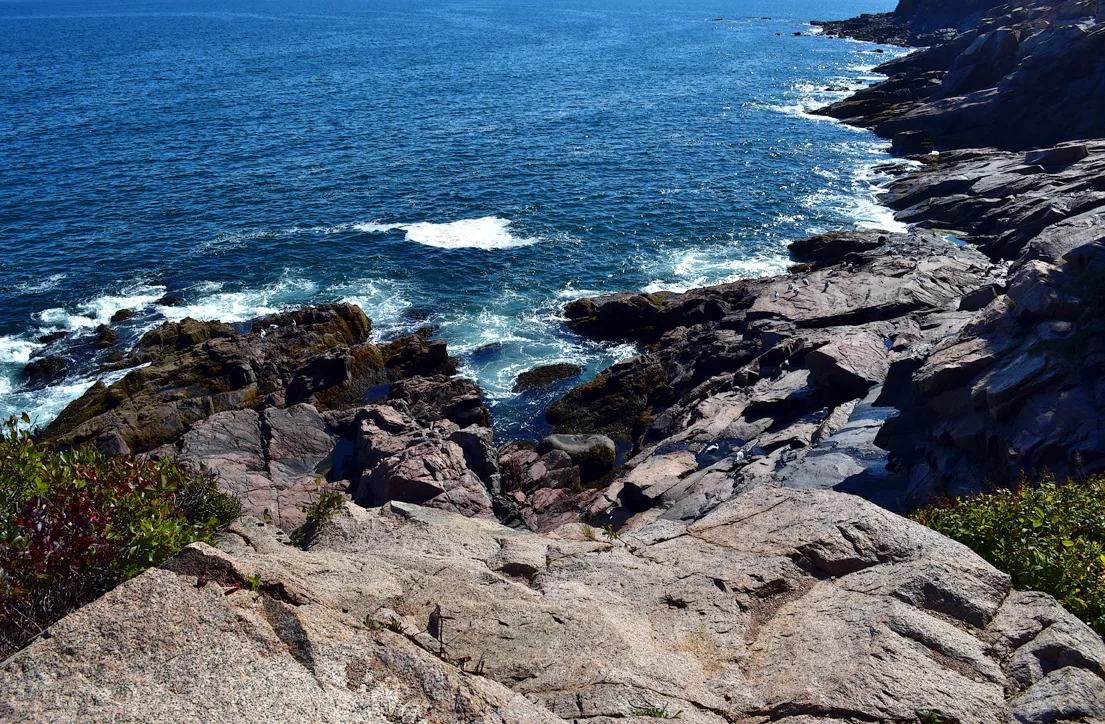 Acadia Shore Fall 1-3