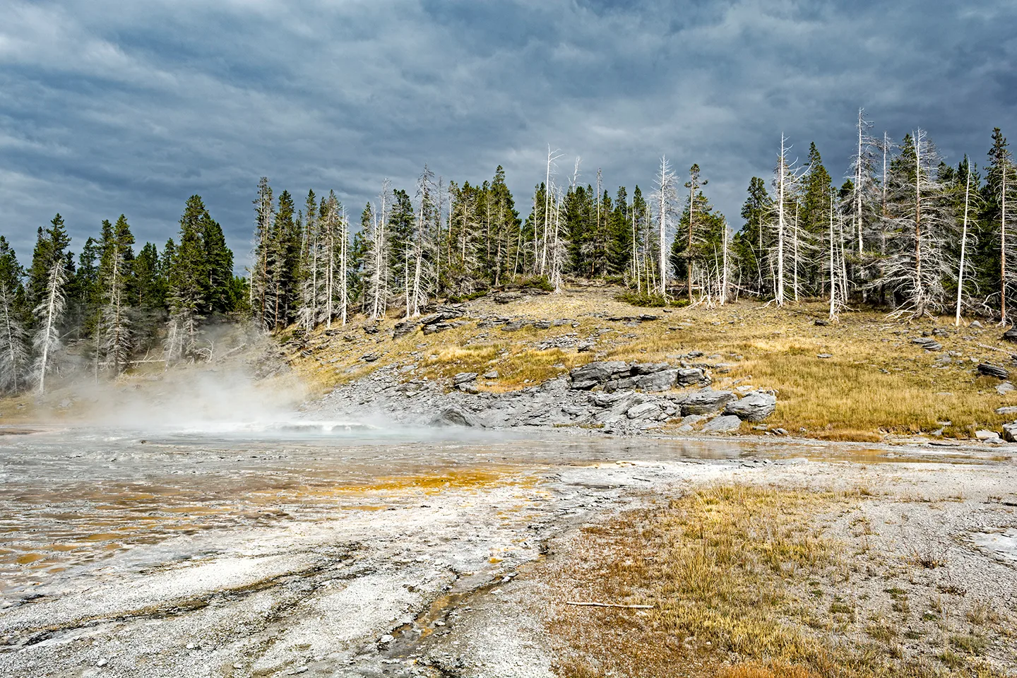 Yellowstone 16