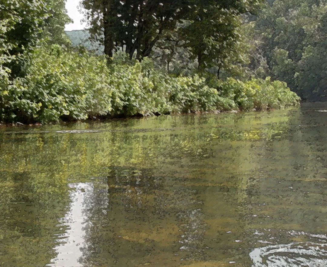 New River Dryoutline