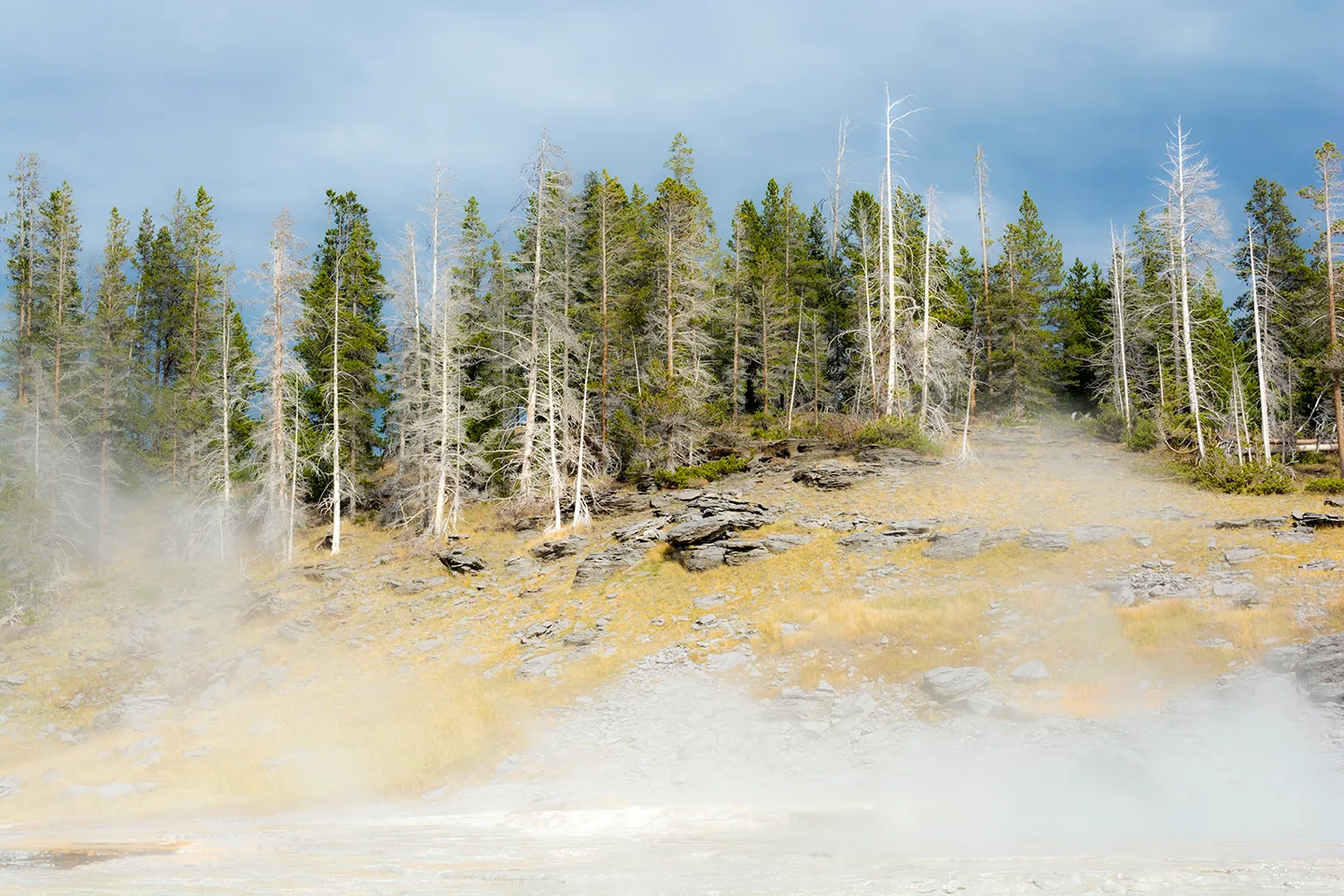 Yellowstone 17