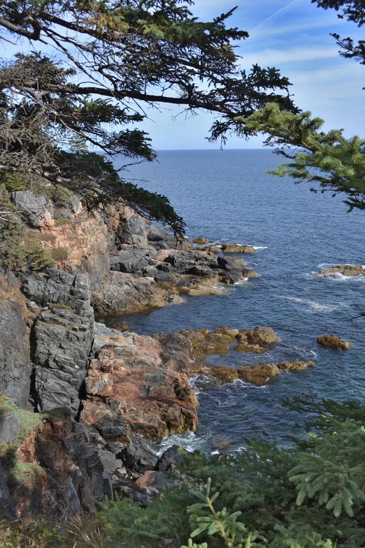 Acadia Shore 4