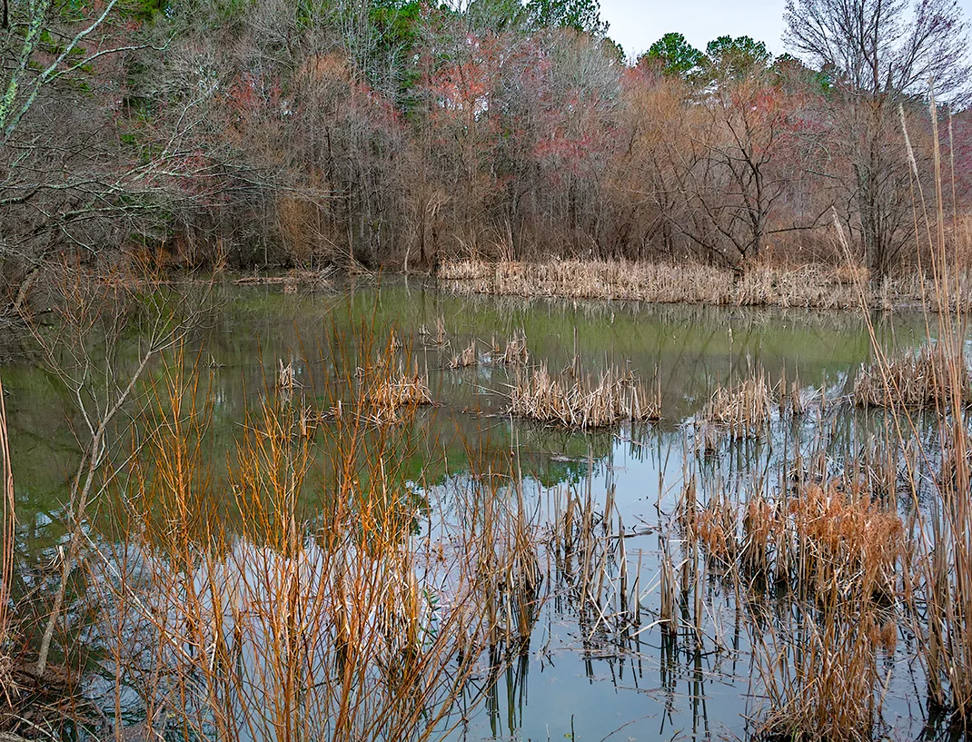 Wildlifeaccessmar 2019 4