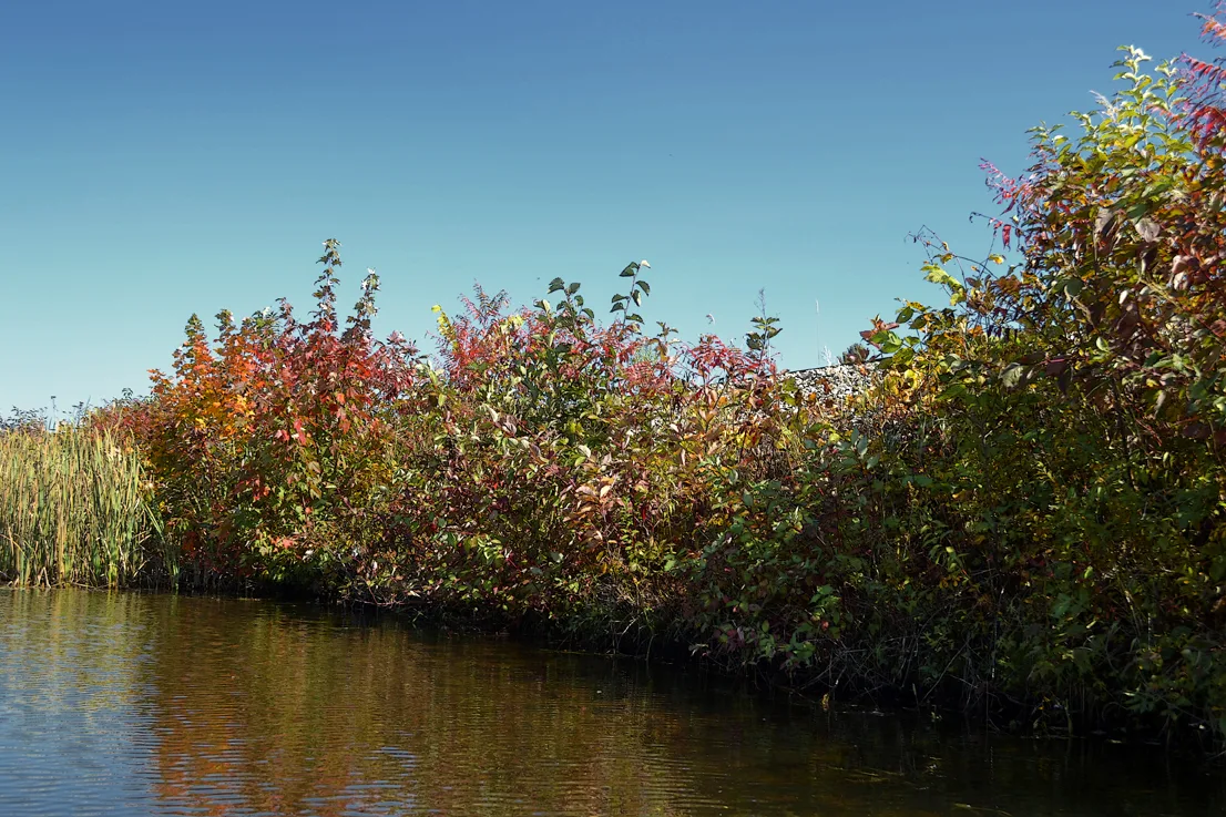 New Hampshire Mtns 5