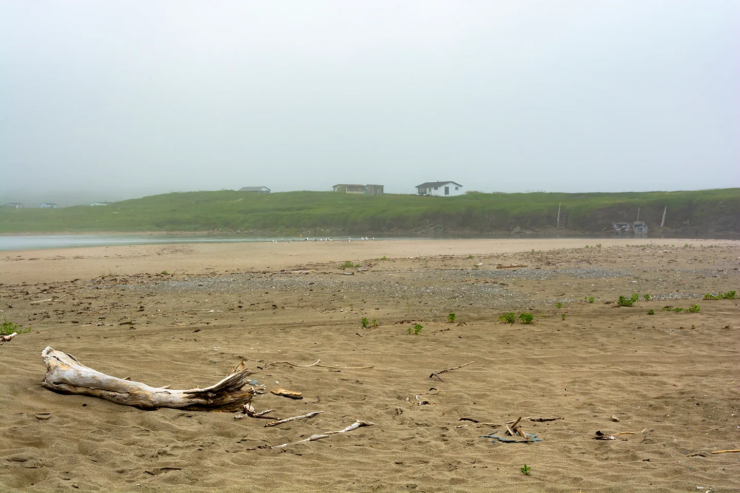 PortAuxBasqueReturn 15