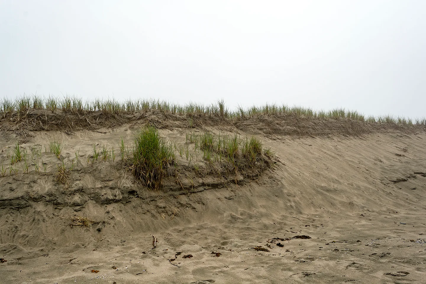 PortAuxBasqueReturn 9