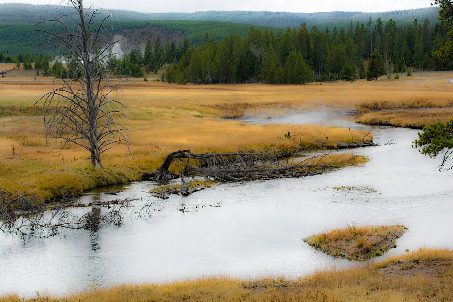 Yellowstone 15