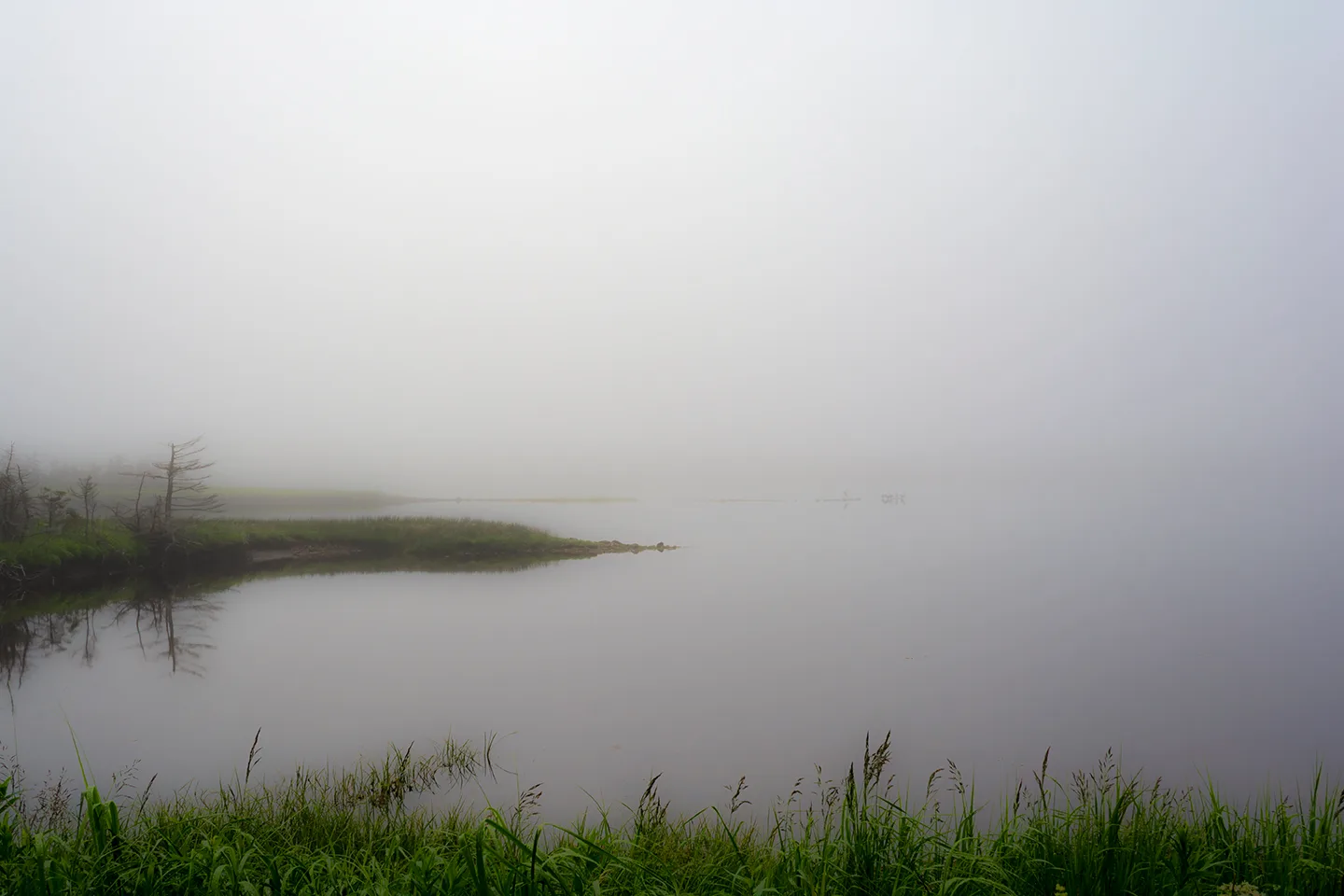 PortAuxBasqueReturn 2