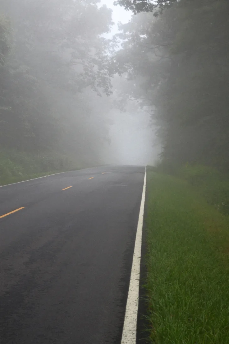 Road and Fog